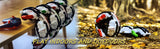 RC snake Car 2.4G Remote Control Vehicle 18km/h High-Speed RC Drift Offroad 360 Rotation Twist Rolling Electric