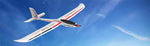 PhoenixS plane Streamline ABS Plastic Fuselage with 1600MM Wingspan EPO Glider remote control