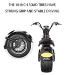 Electric Motorcycle1500W - activityasset