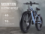 Electric bike 48v 1000W - activityasset