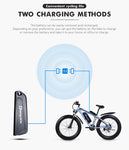 Electric bike 48v 1000W - activityasset