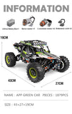 Climbing Remote Control Terrain Buggy Off-Road Truck