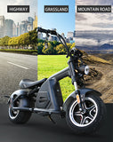 Electric Motorcycle1500W - activityasset