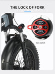 1000W 48v Fat Tire Mountain Ebike 20 Inch