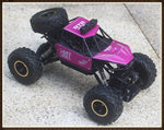 4WD Off Road RC Car Remote Control Truck